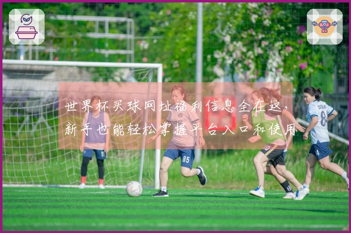 世界杯买球网址福利信息全在这，新手也能轻松掌握平台入口和使用技巧