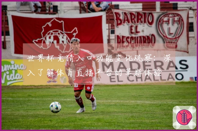 世界杯竞猜入口功能变化观察：深入了解体育直播平台的革新体验