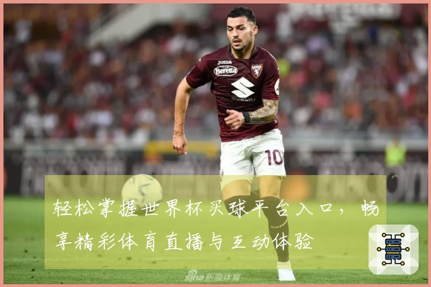 轻松掌握世界杯买球平台入口，畅享精彩体育直播与互动体验