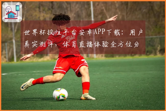 世界杯投注平台安卓APP下载：用户真实测评，体育直播体验全方位分享