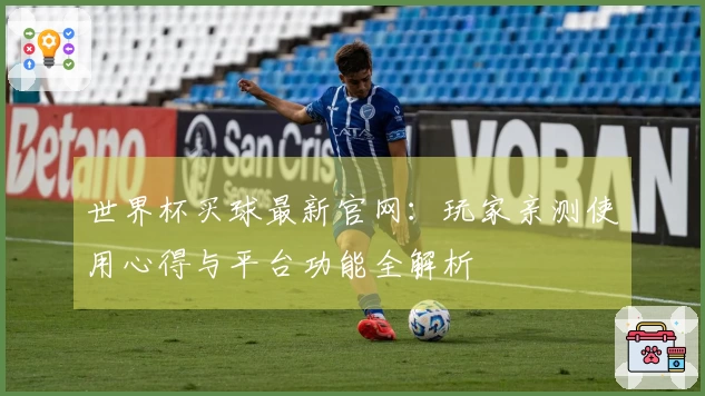 世界杯买球最新官网：玩家亲测使用心得与平台功能全解析